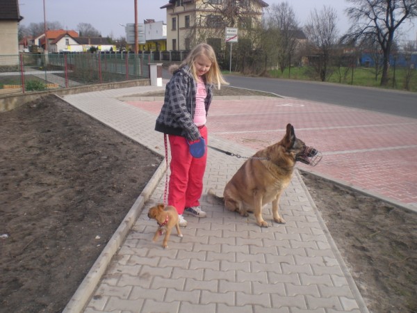 DSCN3112